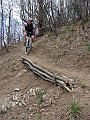 DSC03368