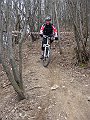 DSC03386
