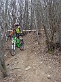 DSC03393