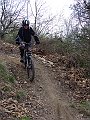 DSC03461