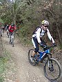 DSC03480