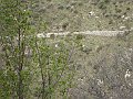 DSC03485