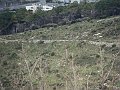 DSC03488