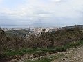 DSC03492