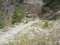 DSC03501