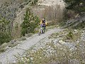 DSC03502