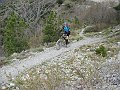 DSC03509
