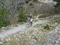 DSC03510