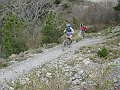 DSC03516