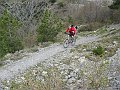DSC03517