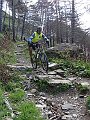 DSC03719