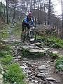 DSC03723