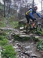 DSC03724