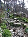DSC03727