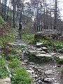 DSC03731
