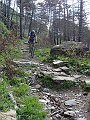 DSC03732