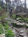 DSC03733