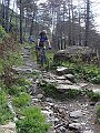 DSC03734