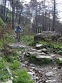 DSC03737