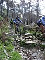 DSC03738