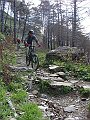DSC03745