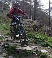 DSC03749