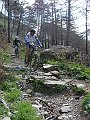 DSC03753