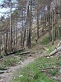DSC03760