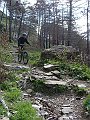 DSC03761