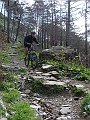 DSC03762