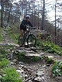 DSC03763