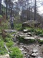 DSC03767