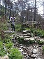 DSC03768