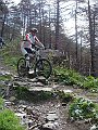 DSC03771