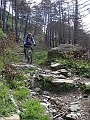 DSC03773