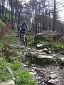 DSC03774