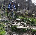 DSC03775