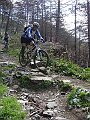 DSC03776