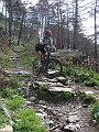 DSC03778