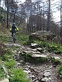 DSC03782
