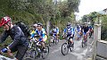 DSCN0698