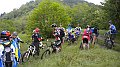DSCN0747