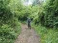 DSC03911