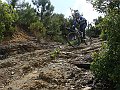DSC03967