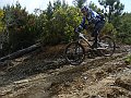 DSC03969
