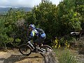 DSC03972