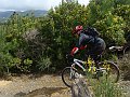 DSC03984