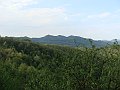 DSC04085