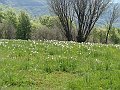 DSC04106