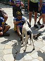 DSC04111